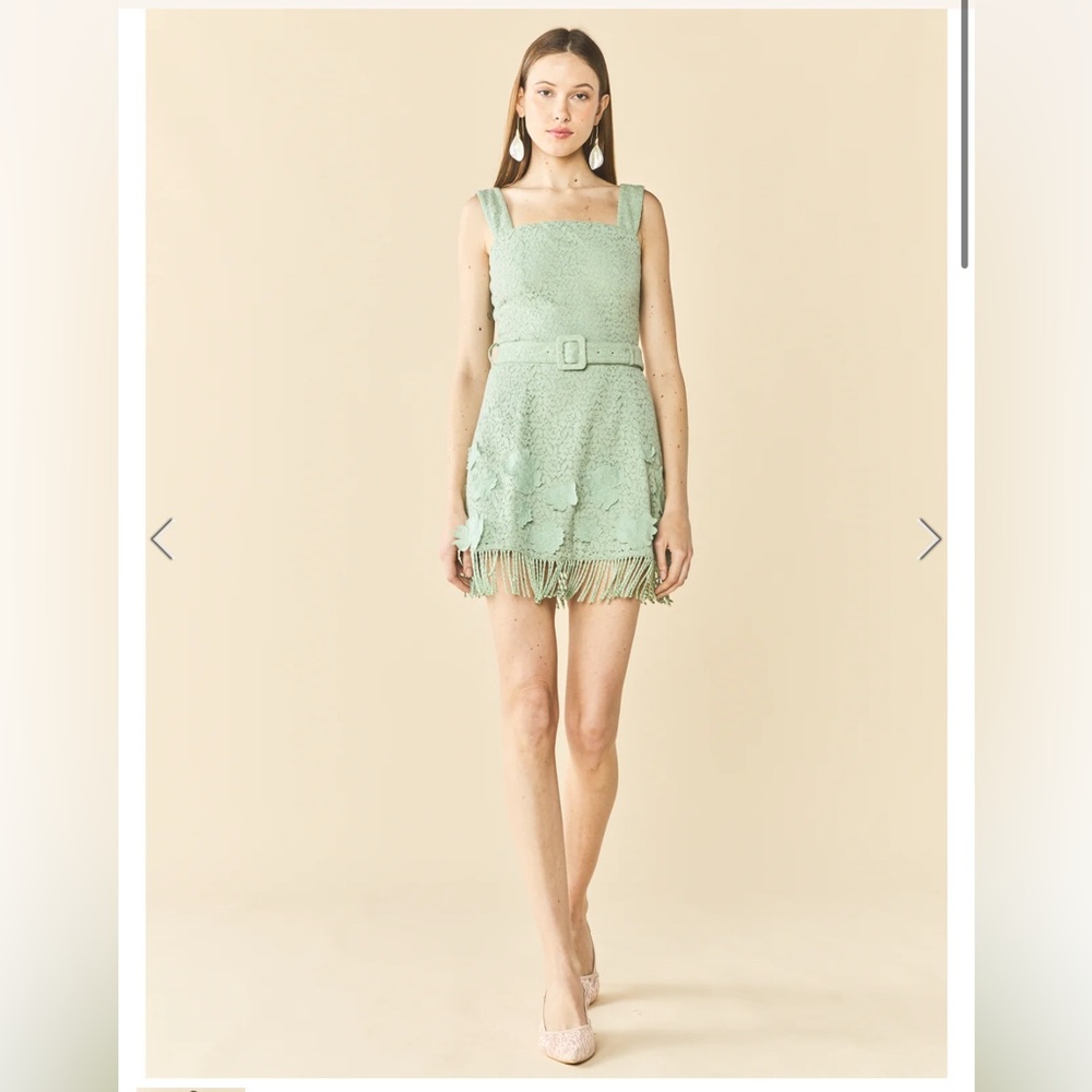 NWT EDDY Sarah Bird Mini Dress